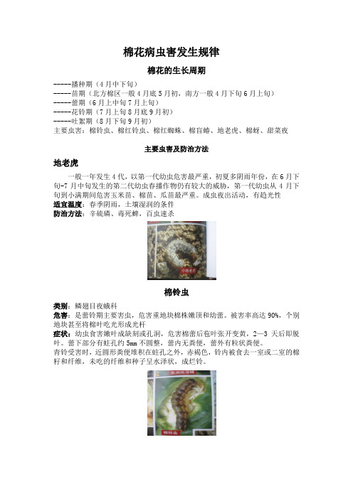 棉花病虫害及防治方法