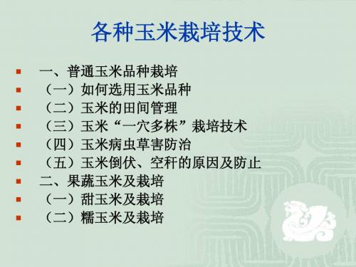 各种玉米栽培讲座