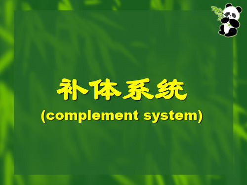 补体系统