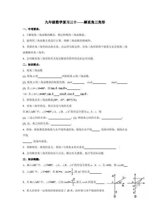 2013苏科版中考数学一轮专题复习(18份)-江苏省靖江市外国语学校中考数学一轮复习 解直角三角形