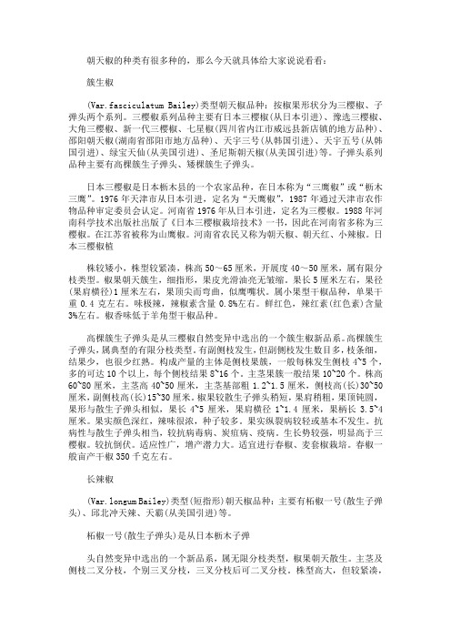 朝天椒品种和图片 朝天椒的特点