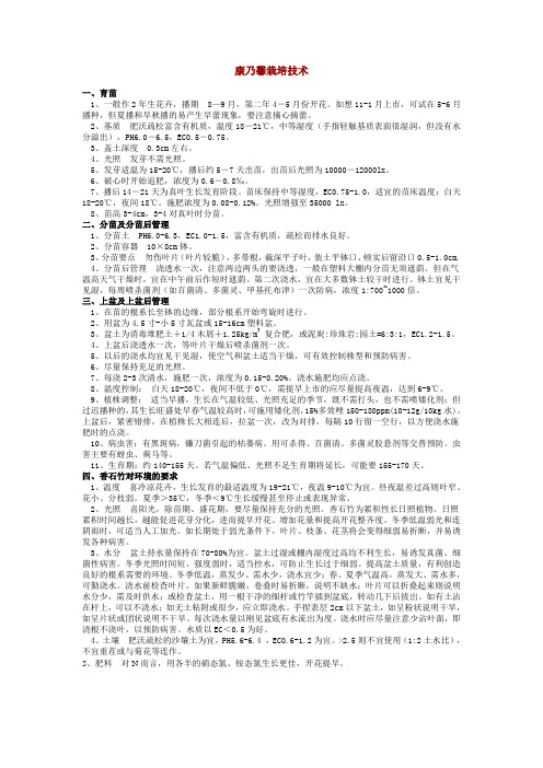 康乃馨栽培技术