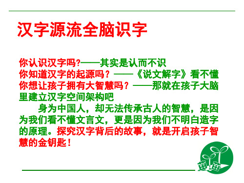 汉字源流全脑识字慧画教学23页PPT