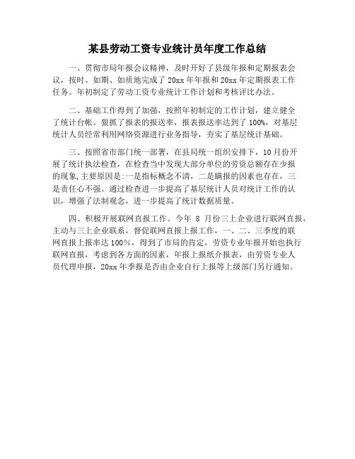 【工作总结范文】某县劳动工资专业统计员年度工作总结