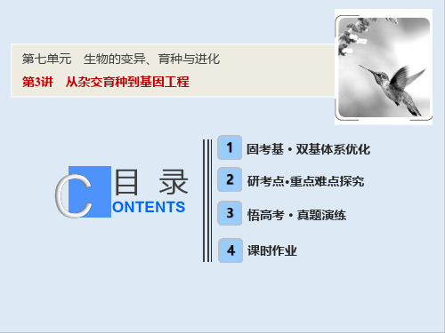 2019版一轮优化探究生物(人教版)课件：第七单元 第3讲 从杂交育种到基因工程 
