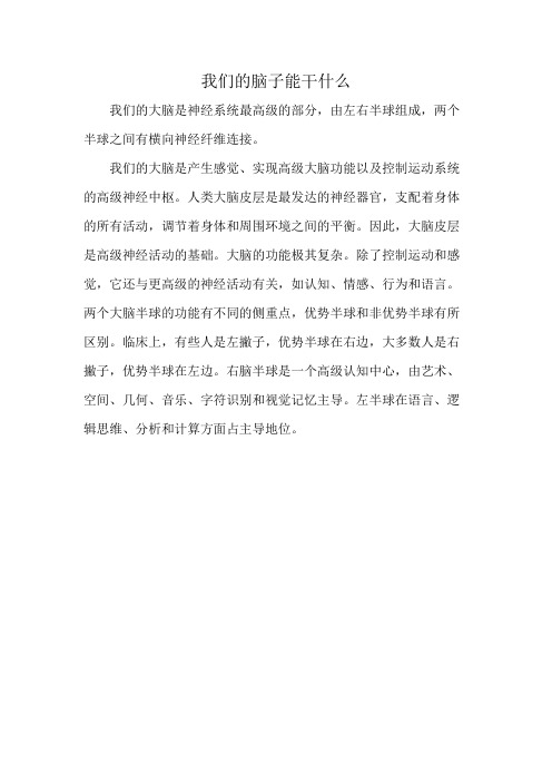 我们的脑子能干什么
