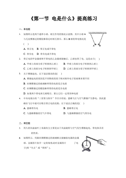 沪科版九年级物理全一册提高练习题 电是什么