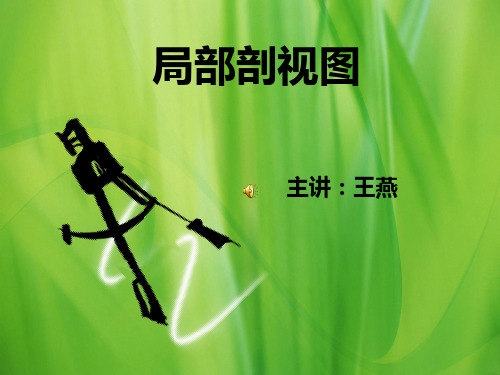 局部剖视图