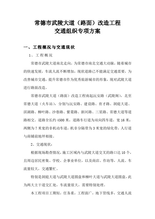 武陵大道(交通组织专项方案)