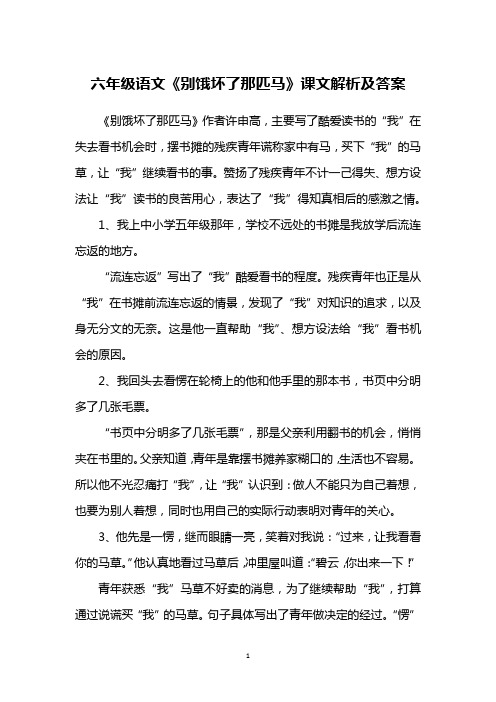 六年级语文《别饿坏了那匹马》课文解析及答案