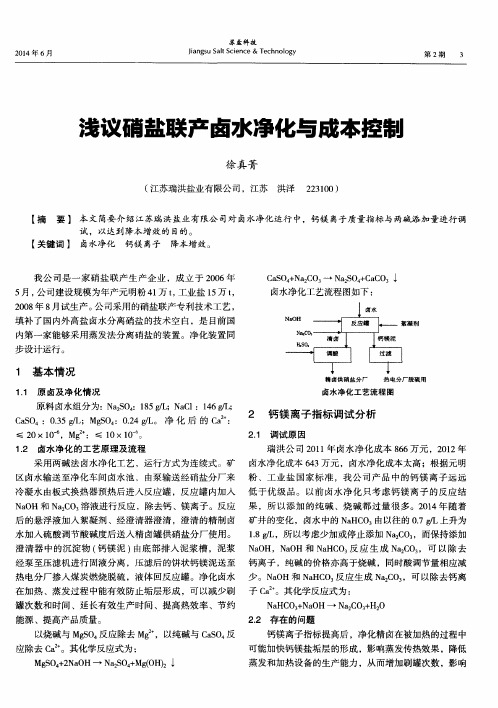 浅议硝盐联产卤水净化与成本控制