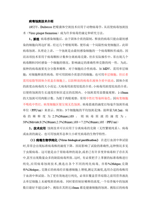病毒蚀斑减少中和试验