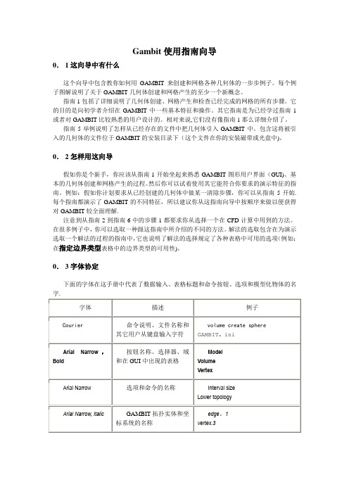 Gambit使用指南向导