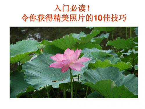 摄影知识-令你获得精美照片的10佳技巧 精品
