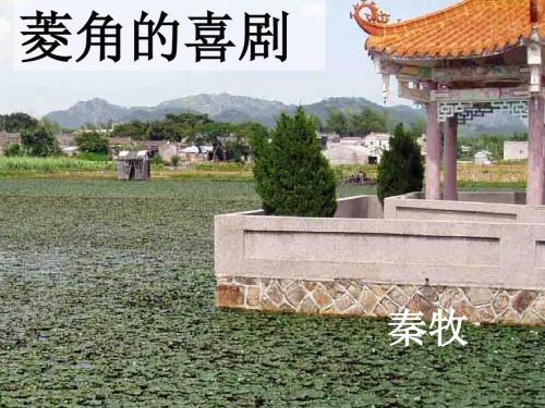 菱角的喜剧PPT10 粤教版