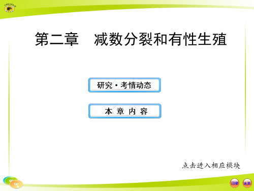 版高中生物全程复习方略配套课件(苏教版)：2.2减数分裂和有性生殖
