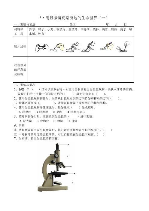 六年级下册科学试题-1.5 用显微镜观察身边的生命世界(一)｜ 教科版