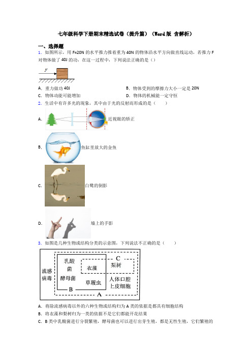 七年级科学下册期末精选试卷(提升篇)(Word版 含解析)