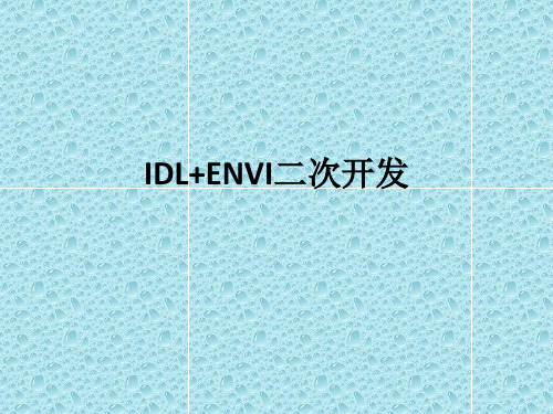 IDL+envi二次开发介绍