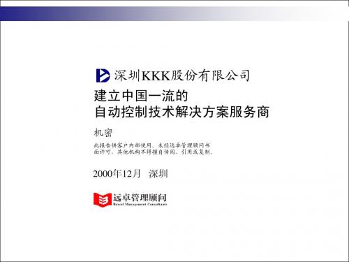 远卓的咨询报告-战略规划