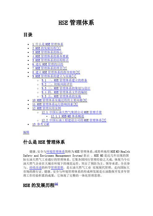 HSE管理体系