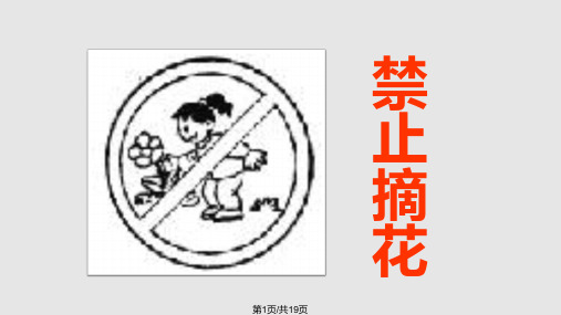 七只猴子去旅行陈惠平PPT课件