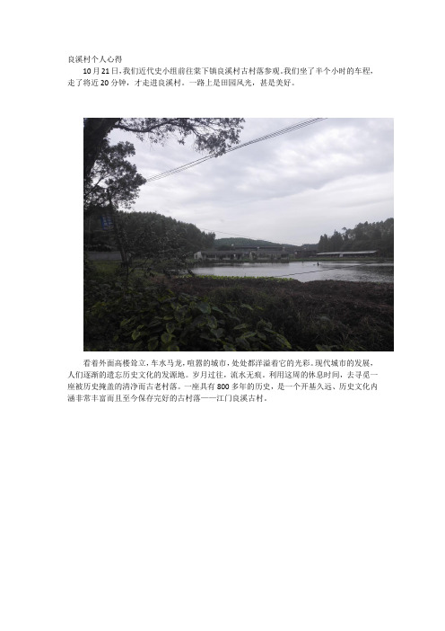 良溪村个人心得