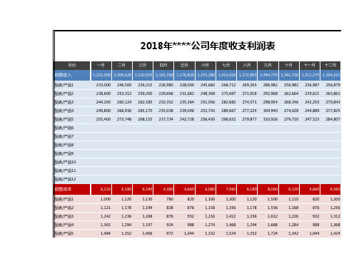公司年度收支利润表格