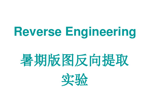 暑期版图反向提取实验