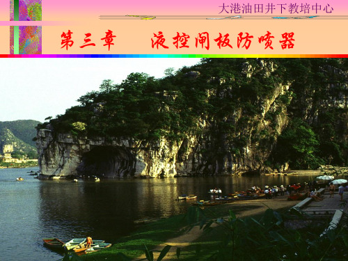 第三章 闸板防喷器