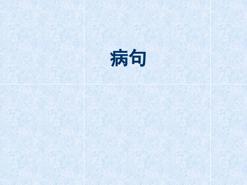 中考复习：病句ppt课件(16页)