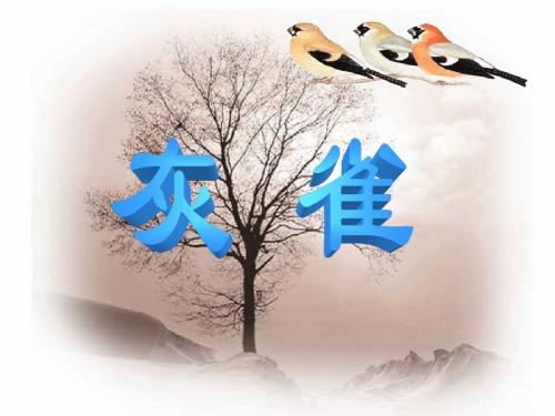 第5课《灰雀》课件