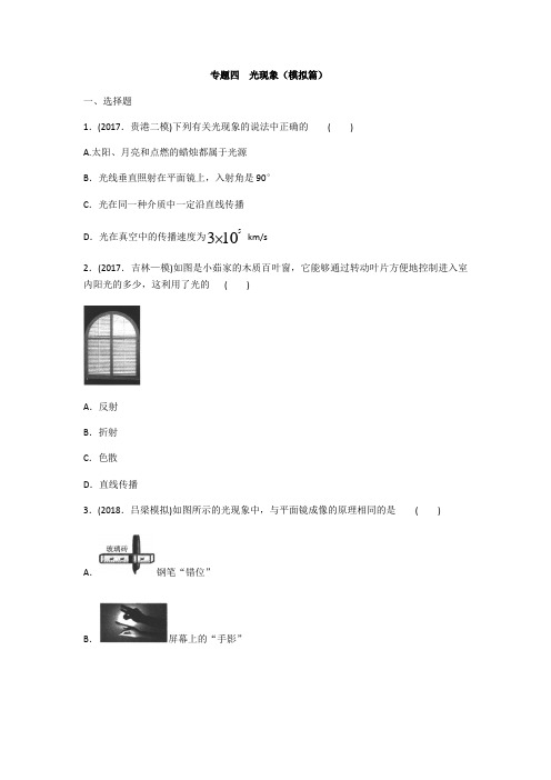 2020年人教版中考物理专题分类卷 专题四  光现象练习题 含答案