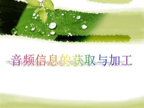  认识音频 音频信息的采集与加工 课件