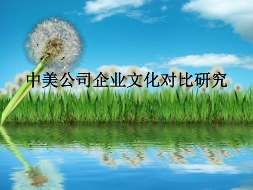 中美公司企业文化对比研究PPT课件