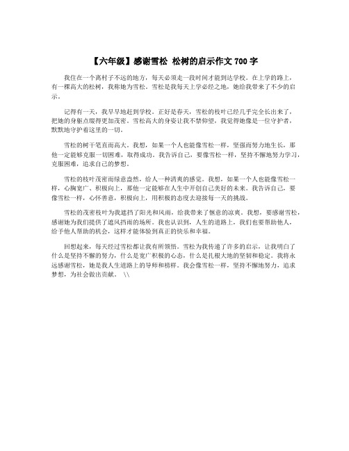 【六年级】感谢雪松 松树的启示作文700字