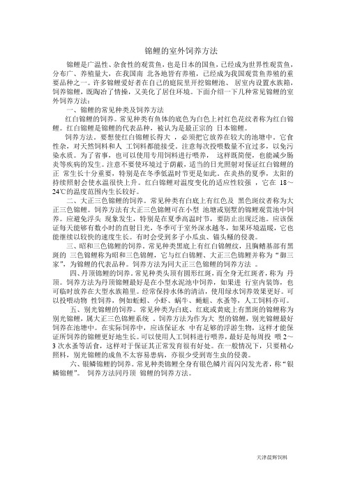 常见锦鲤的室外饲养方法