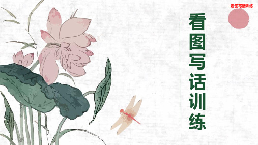 二年级看图写话专项训练 课件 27张幻灯片