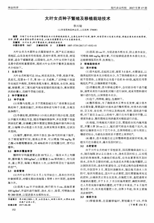 大叶女贞种子繁殖及移植栽培技术