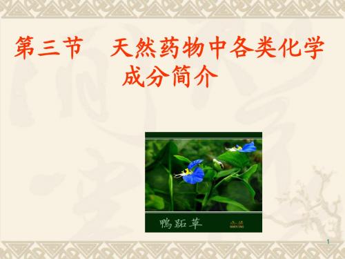 各类化学成分简介