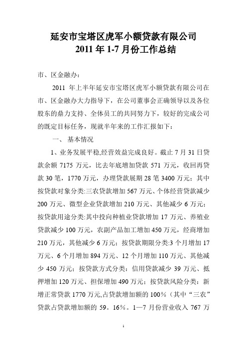 2011年上半年总结报告