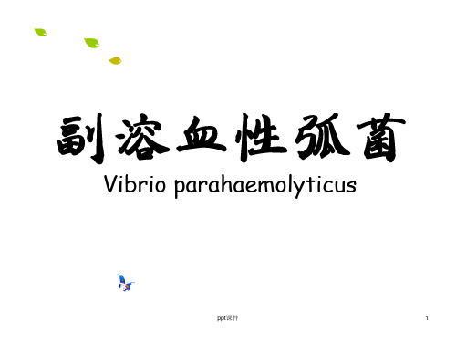 副溶血性弧菌  ppt课件