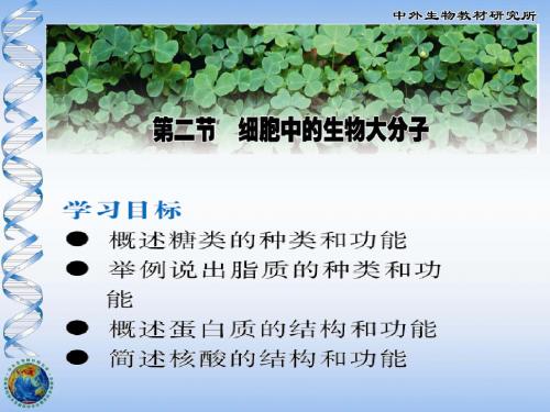 苏教版教学课件必修1第二章第二节细胞中的生物大分子