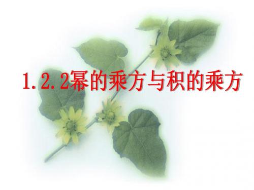 1.2.2幂的乘方与积的乘方