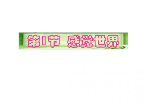 感觉世界