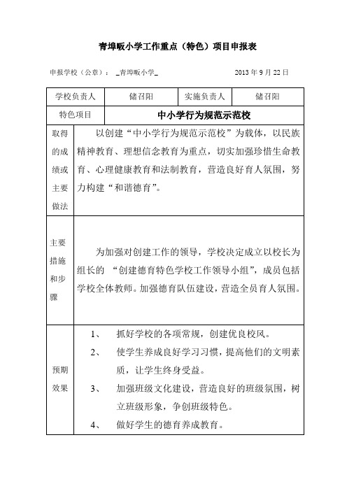 学校工作特色项目申报表
