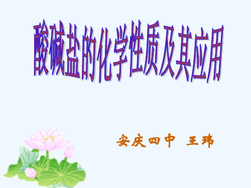 化学人教版九年级下册酸碱盐的化学性质及其应用