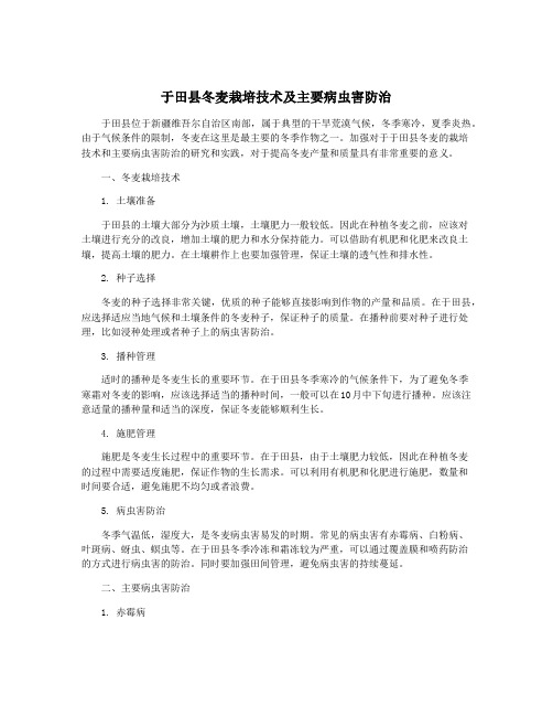 于田县冬麦栽培技术及主要病虫害防治