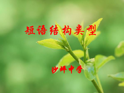 短语结构类型[1]