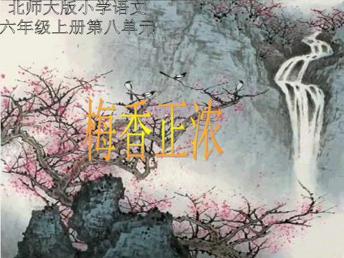 北师大版第十一册《梅香正浓》PPT课件PPT、优质教学课件